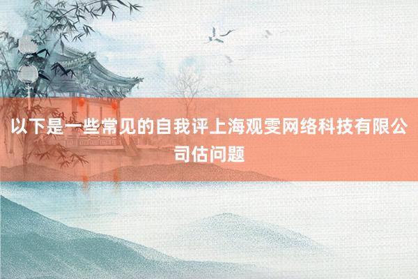 以下是一些常见的自我评上海观雯网络科技有限公司估问题